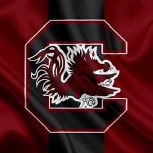 Champion University South Carolina Gamecocks warm up long sleeve 3/4 zip shirt